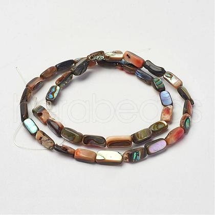 Natural Paua Shell Beads Strands G-D171-03-1