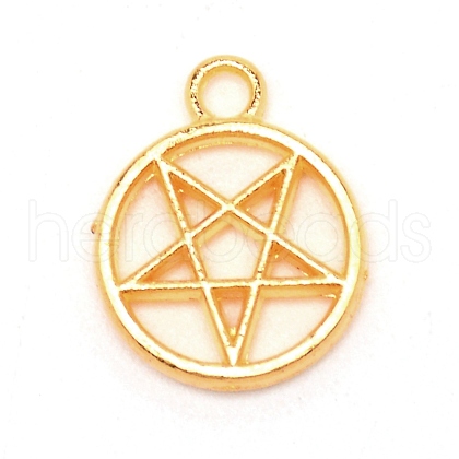 Zinc Alloy Pendants PALLOY-WH0088-60A-G-1