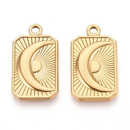 304 Stainless Steel Pendants STAS-T065-03G-1