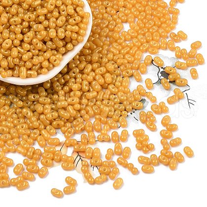 Baking Paint Glass Seed Beads SEED-L011-09A-22-1