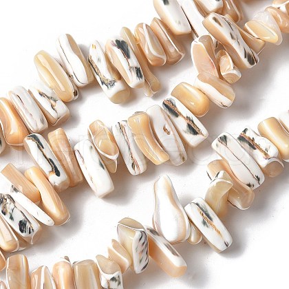 Dyed Natural Trochus Shell Beads Strands SSHEL-C013-09K-1