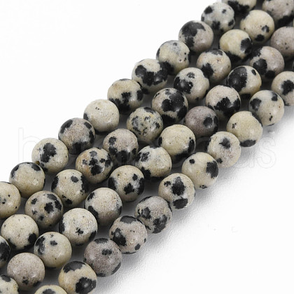 Natural Dalmatian Jasper Bead Strands G-R345-4mm-51-01-1