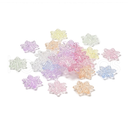 Transparent Acrylic Beads TACR-R001-05A-1
