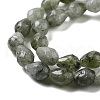 Natural Labradorite Beads Strands G-P520-B05-01-4