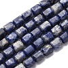 Natural Sodalite Beads Strands G-R015-A03-2
