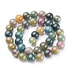 Natural Indian Agate Beads Strands GSR10mmC002-3