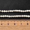 Natural Howlite Beads Strands G-Z068-B05-01-5