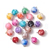 20Pcs Two Tone Opaque Acrylic Round Connector Charms PALLOY-JF03538-1