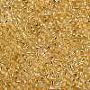8/0 Glass Seed Beads X2-SEED-A005-3mm-22-2