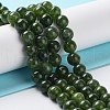 Dyed Natural Malaysia Jade Beads Strands G-G021-02A-13-2