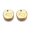 316 Surgical Stainless Steel Charms STAS-S116-418E-G-2