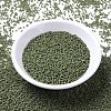 MIYUKI Delica Beads SEED-X0054-DB0391-2