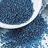 MIYUKI Round Rocailles Beads SEED-X0054-RR0025-4