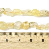 Natural Gold Prehnite Beads Strands G-K395-A07-01-5