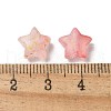 Frosted Acrylic Charms OACR-M023-04H-3