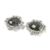 Natural Labradorite Faceted Connector Charms G-M431-09P-02-2