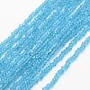 Transparent Glass Beads Strands EGLA-J144-NA02-1
