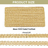 Metallic Polyester Braided Lace Trim Ribbons OCOR-WH0060-76C-2