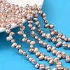 Natural Cultured Freshwater Pearl Beads Strands PEAR-I007-04A-01B-1