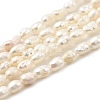 Natural Cultured Freshwater Pearl Beads Strands PEAR-I007-01J-02A-2