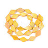 Dyed Natural Freshwater Shell Beads Strands SHEL-T020-13C-2