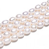 Natural Cultured Freshwater Pearl Beads Strands PEAR-N012-07W-5