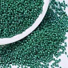 MIYUKI Delica Beads X-SEED-J020-DB0656-1