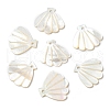 Natural White Shell Pendants SSHEL-K028-01-4