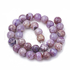 Dyed Natural Crackle Agate Beads Strands G-T100-01B-2