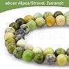 Olycraft 2 Strands Natural Serpentine Beads Strands G-OC0003-11-3