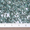 MIYUKI Round Rocailles Beads X-SEED-G007-RR4506-4