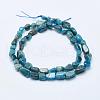 Natural Apatite Beads Strands G-K203-13-2