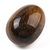 Mother's Day Gifts Natural Tiger Eye Palm Stones G-I367-04F-2