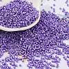 Baking Paint Glass Seed Beads SEED-S042-15B-32-1