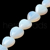 Opalite Beads Strands G-K335-01J-1