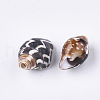 Spiral Shell Beads X-SSHEL-T008-24-2