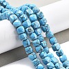 Natural Turquoise Beads Strands G-C179-B24-01-2