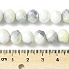 Electroplate Handmade Lampwork Beads Strands LAMP-S068-11F-4