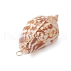 Natural Conch Shell Copper Wire Wrapped Pendants PALLOY-TA00200-5