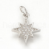 Brass Micro Pave Cubic Zirconia Charms ZIRC-Q015-041P-1