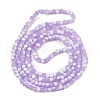 Frosted Crackle Glass Beads Strands X1-GLAA-U001-4mm-M04-3