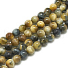 Natural Dream Tiger Eye Beads Strands G-S300-10mm-107A-1