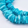 Natural Sea Shell Beads Strands BSHE-K012-08C-3