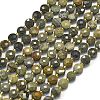 Natural Silver Leaf Jasper Beads Strands G-K389-B83-01-2
