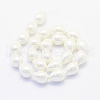 Shell Pearl Beads Strands BSHE-P024-10-2