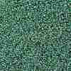 TOHO Round Seed Beads X-SEED-TR11-0699-2