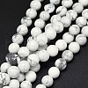 Natural Howlite Beads Strands X-G-F604-18-8mm-1