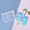 DIY Bear Display Decoration Silicone Molds X-DIY-P068-01-1