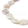 AB Color Plated Natural Freshwater Shell Beads Strands BSHE-G033-02-3