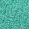 MIYUKI Delica Beads SEED-J020-DB0627-3